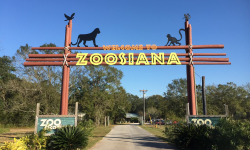 Zoosiana photo